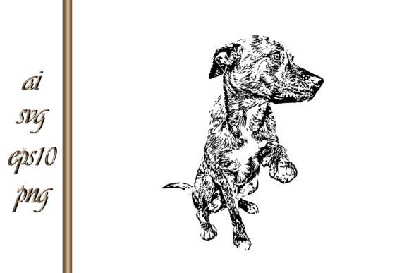 American Pit Bull Dog Sketch Vector – Embroidery Design Review