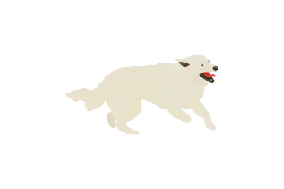 Kuvasz Dog Excited Watercolor