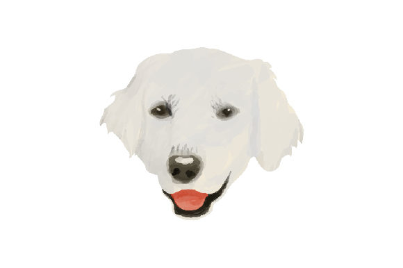 Kuvasz Dog Floating Face Watercolor – A Hands-On Review