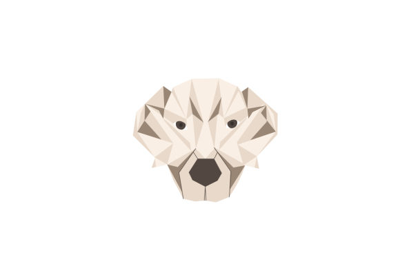 Polygonal Dog Head: A Designerβs Project Review