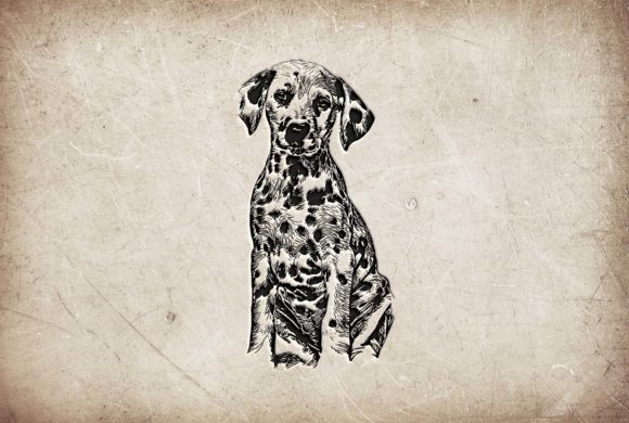 Vector Hand Drawing Illustration Dog: An Embroidery Designer's Review